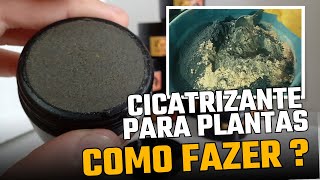 PASTA CICATRIZANTE Revelada A Verdadeira Fórmula para uma Cicatrização Perfeita [upl. by Aracal394]