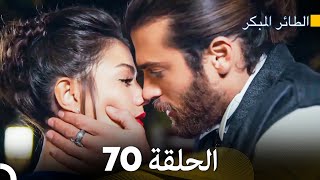 مسلسل الطائر المبكر الحلقة 70 Arabic Dubbed  FULL HD [upl. by Euqina]