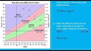 Grade 11 12 Mathslit BMI P2 [upl. by Donell]