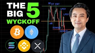 The Big Five Bitcoin Ethereum Solana Binance Ripple 2024Nov08 Weekly Price Chart Analysis [upl. by Adiaroz464]