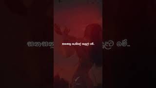 Mulawe මුලාවේ  Slowed  reverb 💔 follow fyp music shorts [upl. by Nov]