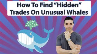 How To Find Hidden Options Trades On Unusual Whales [upl. by Roel]