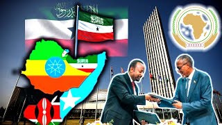 Somaliland Oo Looga Yeedhay Xarunta Midowga Afrika [upl. by Lobell]