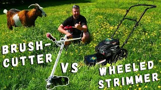 Which Is Better Brushcutters vs Wheeled Strimmers [upl. by Lednahs]