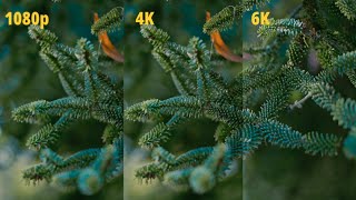 La meilleure résolution pour vos vidéos  1080P vs 4K vs 6k [upl. by Tinor]