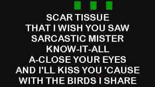 BEst Karaoke Red Hot Chili Peppers Scar Tissue [upl. by Brebner958]