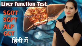 Liver function test in Hindi LFT Test  SGOT  SGPT  ALP  GGT  LFT Normal range  Biochemistry [upl. by Yssirhc535]