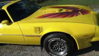 Yellow 1979 Pontiac Trans Am [upl. by Suirtemid]