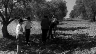 AGRICULTURA tradicional Portugal [upl. by Martinson]