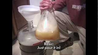 How to Make a Homebrew Yeast Starter [upl. by Leirud407]