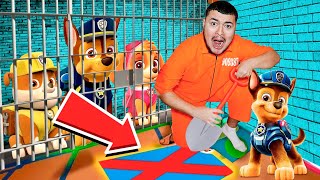 JE MÉCHAPPE DE LA PRISON PAT PATROUILLE  Paw Patrol Prison [upl. by Esdras]