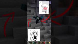 immovable force Vs unstoppable force minecraft shorts memes [upl. by Ahsiuqal]