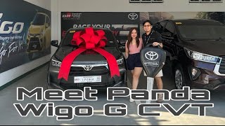 MEET PANDA TOYOTA WIGO 2024 G CVT [upl. by Latrell]