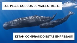 LOS PECES GORDOS DE WALL STREET ESTÁN COMPRANDO ESTAS EMPRESAS [upl. by Annael]