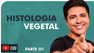 HISTOLOGIA VEGETAL PARTE 01  BOTÂNICA  Prof Kennedy Ramos [upl. by Euqinay]