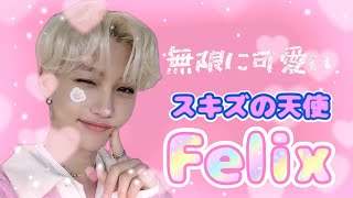 【SKZ】ひたすら可愛いFelix【ほぼSKZ TAKER切り抜き】 [upl. by Murray]