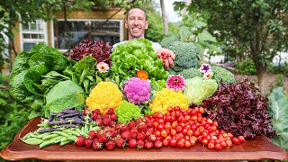 Organic Garden Harvest Here is What I Harvested Today [upl. by Otsenre]