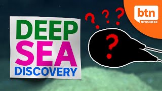 Weird Looking Deep Sea Discovery  Chinas Moon Landing A Success [upl. by Conway]