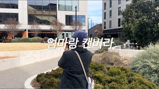 호주 vlog  시드니 캔버라 근교 bowral 가기 먹고 또 먹기 [upl. by Demona]