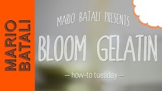 Mario Batalis HowTo Tuesday Blooming Gelatin [upl. by Dranyam]