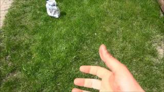 How To Spread Grass Seed With Your Hand No Tools Needed [upl. by Eednyl]