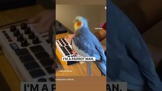 Funny Animal Voice Over by Uni V Sol voiceover funny funnyvideos voiceoverartist univsolmc [upl. by Arianna629]