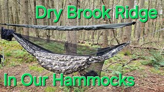 Dry Brook Ridge Wild Forest Catskill Mountains NY [upl. by Htebasile]