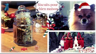 ♥ Gateaux pour chien maison carotte et pomme ♥ [upl. by Eerat]