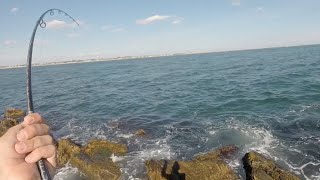 Flounder Fishing New England  August Road Trip [upl. by Danell]