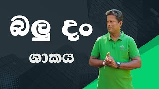 බලු දං  Sobadam Piyasa [upl. by Ayr31]