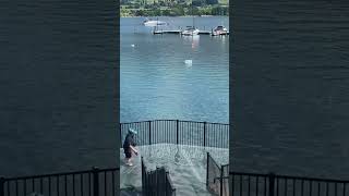 The walkway in Wanaka flooded￼￼ [upl. by Evander]