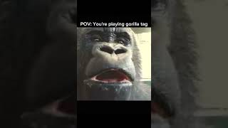 POV Youre playing gorilla tag meme gorillatag funnymemes shortmeme shorts memes memeshorts [upl. by Lisa]