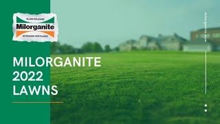 Lawns that Use Milorganite Fertilizer [upl. by Melisa]