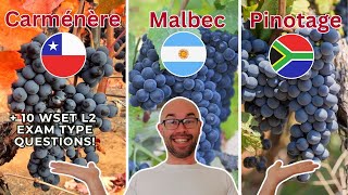 Carmenere Malbec and Pinotage for WSET Level 2 in Wines 10 WSET exam type questions [upl. by Aicnelev]