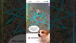 To find out where your dog went today just open DBDD APP to check gps tracker dbdd dogs dog [upl. by Rudd]