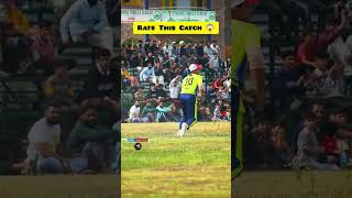 brilliant catch viral cricket reels cricinfo kashmir [upl. by Milli]