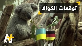 كوالا يتوقع نتائج كأس أمم أوروبا 2016 [upl. by Bach830]