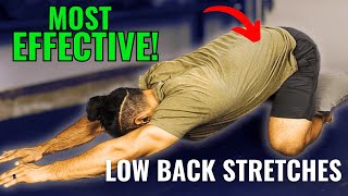 5 Stretches To Get Rid of Low Back Pain amp Stiffness MOST EFFECTIVE [upl. by Azarria]