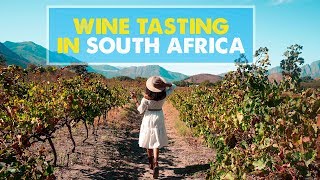 SOUTH AFRICA WINE TOURS Stellenbosch amp Franschhoek [upl. by Glick]