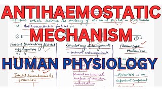 Antihaemostatic mechanism fibrinolysis Telegram httpstmedrshikhasaxenahumanphysio [upl. by Riesman]