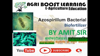 Azospirillum How to work  Agriculture important species  general introduction stricture [upl. by Eirruc372]