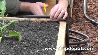 How to install a Drip Irrigation System in Raised Beds [upl. by Inhsor]