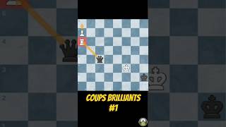 Finale délicate contre Dame  BRILLANT  chess echecs [upl. by Vitkun]