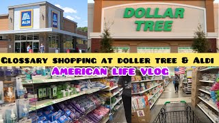 HOW WE DO GLOSSARY SHOPPING 🛒 AT DOLLER GENRAL ALDI  AMERICAN LIFE VLOG  america [upl. by Nalrah]