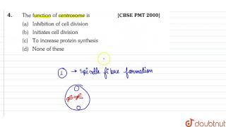 The function of centrosome is [upl. by Jessey493]