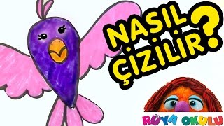 Nasıl Çizilir  Kuş  Çocuklar İçin Resim Çizme  RÜYA OKULU [upl. by Oilasor]