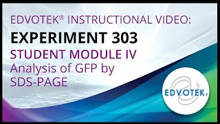 Edvotek Kit 303  Student Module IV  Analysis of GFP by SDSPAGE [upl. by Aneres132]