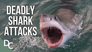 Deadly Shark Attacks Of Australia  Shark Alarm Australias Deadliest Year  Documentary Central [upl. by Philina]