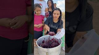 Açaí encofeitado😅 parte 03 video viralvideo youtubeshorts shorts short funny shortvideo [upl. by Thornburg]