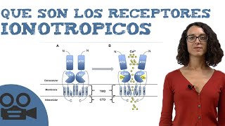 Que son los receptores ionotropicos [upl. by Merkle]